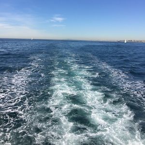 Meet your Posher, Leslye